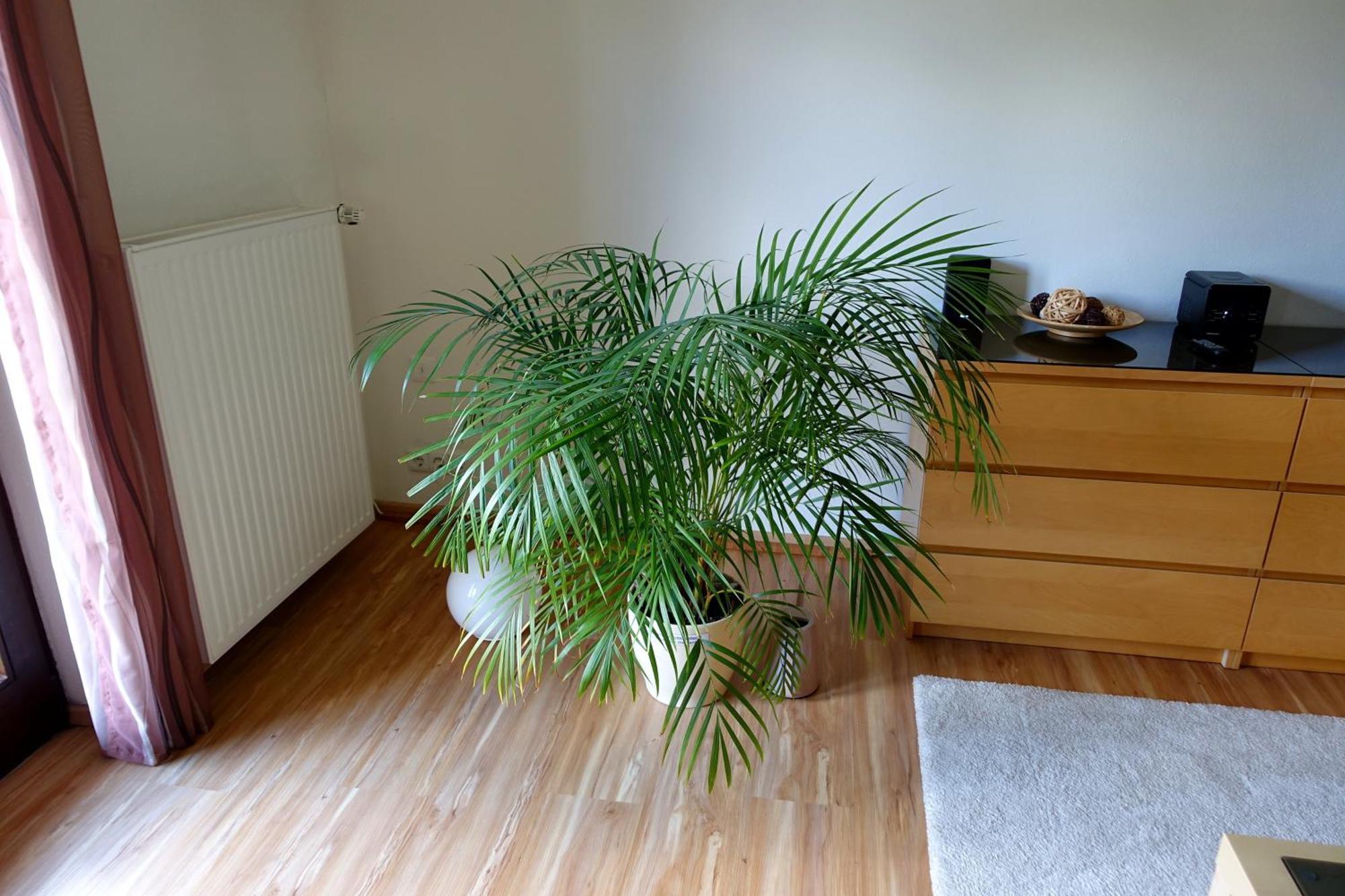 Ferienwohnung Ariane Garmisch-Partenkirchen Buitenkant foto